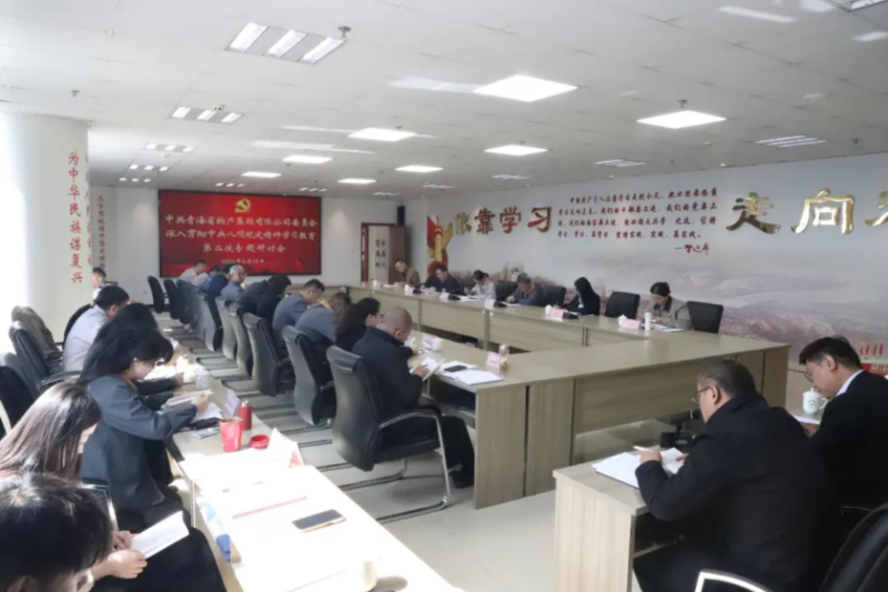 省物產集團黨委召開深入貫徹中央八項規定精神學習教育第二次專題研討會