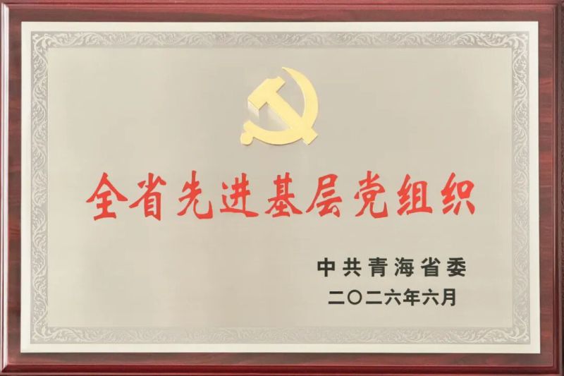 喜報！省物產(chǎn)集團黨委及所屬集體個人榮獲全省和省國資委系統(tǒng)&ldquo;兩優(yōu)一先&rdquo;表彰