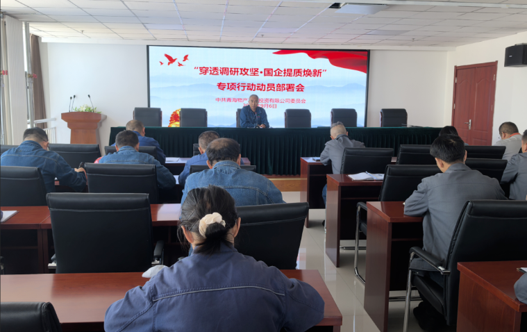 工投公司黨委召開“穿透調研攻堅·國企提質煥新”專項行動動員部署會