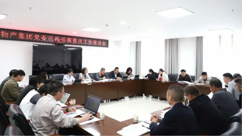 集團(tuán)黨委召開巡視巡察整改工作推進(jìn)會